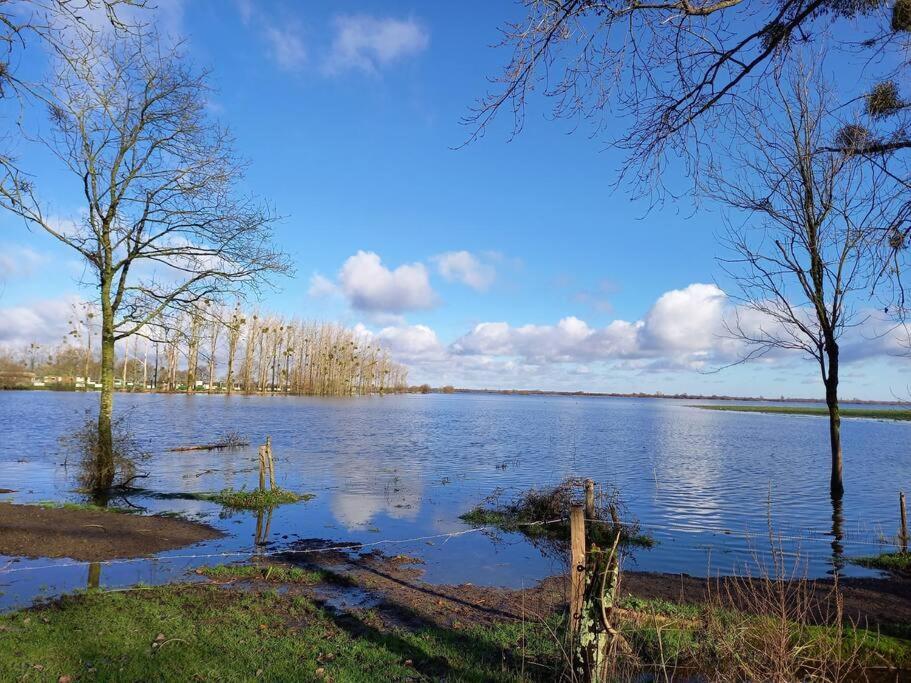 Lac Grand Lieu : Maisonnette Au Calme Avec Jardin Saint-Lumine-de-Coutais Exterior foto
